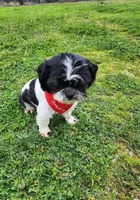 processed/f6cc539a-00ca-4061-9513-dfa9faba2334/listing/ce9e0edb-402a-4c90-8306-89785fe855a2/204b8592-af8a-413d-b8cd-e70310b5178a