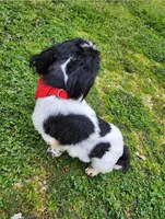 processed/f6cc539a-00ca-4061-9513-dfa9faba2334/listing/ce9e0edb-402a-4c90-8306-89785fe855a2/4c0fbd97-d5a8-497f-b78a-0c4110c2e7b9