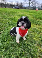 processed/f6cc539a-00ca-4061-9513-dfa9faba2334/listing/ce9e0edb-402a-4c90-8306-89785fe855a2/6457eda2-b7d1-477f-97c9-9f441ab66bf0