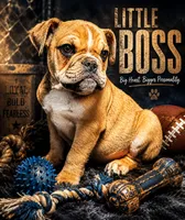 Rocky, a male English Bulldog for sale in Ypsilanti, MI – 1 of 4