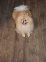 processed/f6d21a85-054c-465d-ba43-7990c6bc1568/facility/448f93cc-4617-4845-a9d2-1bd48549ff02