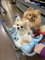 processed/f6d21a85-054c-465d-ba43-7990c6bc1568/facility/b2a4025f-04ef-45ea-b80b-206a5647800c