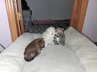 processed/f6d21a85-054c-465d-ba43-7990c6bc1568/facility/cb16d6bb-b9ba-4c11-9fa1-a170c4e6c39b