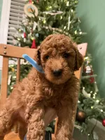 processed/f6d3c546-d637-4cfb-9038-c5c3dc10f380/listing/38c29987-e6d8-42e9-812e-53e61bd1f792/2ec13fbc-5a24-4ff5-a4b3-466ead0df22b