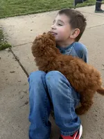 processed/f6d3c546-d637-4cfb-9038-c5c3dc10f380/listing/38c29987-e6d8-42e9-812e-53e61bd1f792/729b4254-b14b-44c4-b2f8-5babe4b87272