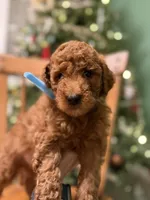 processed/f6d3c546-d637-4cfb-9038-c5c3dc10f380/listing/38c29987-e6d8-42e9-812e-53e61bd1f792/a5bab6f6-20a3-43a2-be3f-18ec7dc08eb7