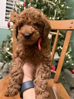 processed/f6d3c546-d637-4cfb-9038-c5c3dc10f380/listing/3a0f55a0-dead-4a9d-96ce-a72535065a68/0c1c083c-77d5-400e-9e06-be64a2c50486