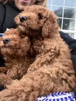 processed/f6d3c546-d637-4cfb-9038-c5c3dc10f380/listing/3b697027-f96c-4435-973d-50bb0c24c791/27f30e24-7896-4938-a632-4636fb394d6e