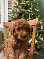 processed/f6d3c546-d637-4cfb-9038-c5c3dc10f380/listing/3b697027-f96c-4435-973d-50bb0c24c791/31d29b44-e7dd-4e24-abf7-ef6cff0de456