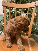 processed/f6d3c546-d637-4cfb-9038-c5c3dc10f380/listing/3b697027-f96c-4435-973d-50bb0c24c791/8894fe01-0eb4-458d-abb3-d85900d2fffa