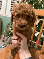 processed/f6d3c546-d637-4cfb-9038-c5c3dc10f380/listing/3b697027-f96c-4435-973d-50bb0c24c791/b1ef08b1-aed2-488c-86cc-1d2bf39a540b