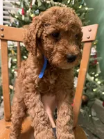 processed/f6d3c546-d637-4cfb-9038-c5c3dc10f380/listing/3b697027-f96c-4435-973d-50bb0c24c791/e2f45bb2-e608-4840-9dad-37291a864b92