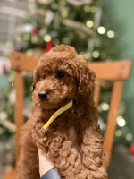 processed/f6d3c546-d637-4cfb-9038-c5c3dc10f380/listing/fef991eb-7760-471a-a4ba-78e0c8cdc4ea/18277e88-34d8-478b-a728-e0b1c14061bc