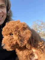 processed/f6d3c546-d637-4cfb-9038-c5c3dc10f380/listing/fef991eb-7760-471a-a4ba-78e0c8cdc4ea/7fed2ad8-3f2b-47b7-b3d5-9423acdfd31f