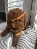 processed/f6d3c546-d637-4cfb-9038-c5c3dc10f380/listing/fef991eb-7760-471a-a4ba-78e0c8cdc4ea/91f8cb2c-ce66-4f61-b73c-c22ceb9c0071