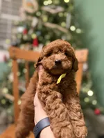 processed/f6d3c546-d637-4cfb-9038-c5c3dc10f380/listing/fef991eb-7760-471a-a4ba-78e0c8cdc4ea/be4dd95a-2446-4f6d-82e9-794a0837ac53