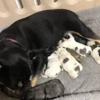 processed/f6d5fad1-a57c-47e7-a79f-83114415a031/facility/2f8fc210-8a1a-4565-9891-48de7e97f096