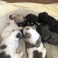 processed/f6d5fad1-a57c-47e7-a79f-83114415a031/facility/68f5bf5f-e922-46c6-a3a5-af87b49fd3d4