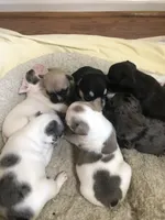 processed/f6d5fad1-a57c-47e7-a79f-83114415a031/facility/68f5bf5f-e922-46c6-a3a5-af87b49fd3d4