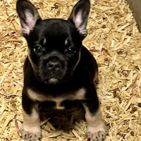 processed/f6d5fad1-a57c-47e7-a79f-83114415a031/facility/6f393d48-40e0-4ed8-85db-3b4a3875e0be