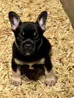 processed/f6d5fad1-a57c-47e7-a79f-83114415a031/facility/6f393d48-40e0-4ed8-85db-3b4a3875e0be