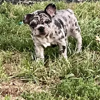 processed/f6d5fad1-a57c-47e7-a79f-83114415a031/facility/87a8d956-2b56-4fe6-83f1-e13391a8ed80