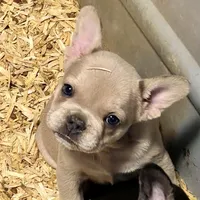 processed/f6d5fad1-a57c-47e7-a79f-83114415a031/facility/cd6fdd6b-8d47-4348-a7a7-894abffe9469