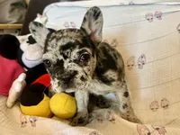 processed/f6d5fad1-a57c-47e7-a79f-83114415a031/listing/83ca38e8-17f2-4fe5-ac81-bb02302daffb/bc29a346-268f-4b69-8927-fa522a3b69af