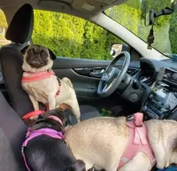 processed/f6e3ab5b-8153-4eac-939b-f24548e2f832/facility/1b07234c-c9eb-4959-986a-1d0f15554069