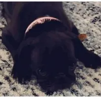 processed/f6e3ab5b-8153-4eac-939b-f24548e2f832/facility/6f435017-f0e6-4126-80f8-486224c5339e