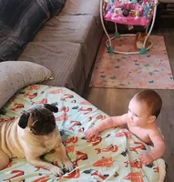 processed/f6e3ab5b-8153-4eac-939b-f24548e2f832/facility/75cac396-6d09-4591-9bb4-3a46723476cf