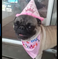 processed/f6e3ab5b-8153-4eac-939b-f24548e2f832/facility/8d3cecbf-ecae-4365-8c20-13b0be3cd77f