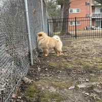 processed/f6e5bf29-22ef-476e-9ed4-9f45cf478faf/facility/65c64fae-d8ba-4ba5-9bb3-2441b66a5b9e