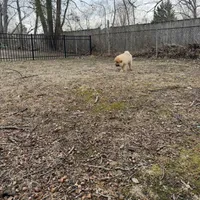 processed/f6e5bf29-22ef-476e-9ed4-9f45cf478faf/facility/9c4b3745-82df-405d-9f49-dffa11a590f5