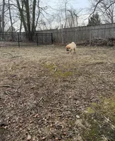 processed/f6e5bf29-22ef-476e-9ed4-9f45cf478faf/facility/9c4b3745-82df-405d-9f49-dffa11a590f5