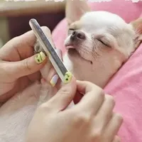 processed/f6e61272-e1f5-41b7-a65b-efe788c68290/facility/9a5b92b3-df19-4b42-a503-f38891ae0a7c