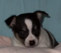 processed/f6e61272-e1f5-41b7-a65b-efe788c68290/listing/ce9c5439-9133-446a-a42e-546d0216d407/84c52122-1e14-4bd4-9d55-3029fdf126ba