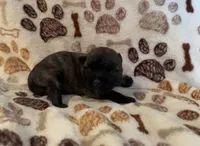 processed/f6f57c66-5e72-48b9-abd5-f4cde7a4b09b/listing/3d76621b-9826-4776-9b1d-b1a76259ae47/bb618c7c-e6ff-4807-b4d3-18b512ce3004