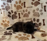 processed/f6f57c66-5e72-48b9-abd5-f4cde7a4b09b/listing/a10e2a76-baf9-4281-bbee-b9a2afd7ad3f/2f86f927-144e-4d60-9e71-c7a6683d5db1