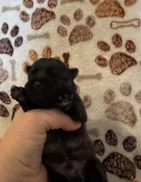 processed/f6f57c66-5e72-48b9-abd5-f4cde7a4b09b/listing/a10e2a76-baf9-4281-bbee-b9a2afd7ad3f/b87924be-4077-42fe-98e7-31d7862710e5