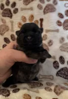 processed/f6f57c66-5e72-48b9-abd5-f4cde7a4b09b/listing/a11b1ca0-a29b-4ff8-aafd-0405f6c9465f/987b0b74-f95b-4d12-bfda-f54e6f59a03c