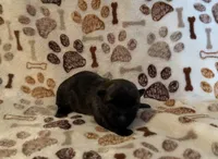 processed/f6f57c66-5e72-48b9-abd5-f4cde7a4b09b/listing/a11b1ca0-a29b-4ff8-aafd-0405f6c9465f/99c90607-2b41-462b-8572-307fa1e74f3a