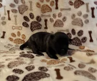 processed/f6f57c66-5e72-48b9-abd5-f4cde7a4b09b/listing/f4c74bab-9483-418e-a857-25eebfcdf937/9323c79c-af15-4071-9439-a7be896df3ad