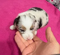 processed/f6f9272f-16e0-4a2d-95c2-b1ba199e966b/listing/0087b962-ed2f-4002-acae-88c7220ac71f/04f2b9d2-90c9-4fba-98f7-90979a554b4b