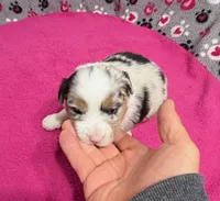 processed/f6f9272f-16e0-4a2d-95c2-b1ba199e966b/listing/0087b962-ed2f-4002-acae-88c7220ac71f/a3e991a4-6194-4757-9f94-22ef215cd3a9