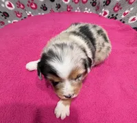 processed/f6f9272f-16e0-4a2d-95c2-b1ba199e966b/listing/135941fb-a873-4897-b0e4-cb44af7740f9/6bb6a03d-6476-46c2-a232-3f028d778c83