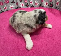 processed/f6f9272f-16e0-4a2d-95c2-b1ba199e966b/listing/135941fb-a873-4897-b0e4-cb44af7740f9/77fb1067-52d0-4877-9dd9-b2cbd4cd0b89