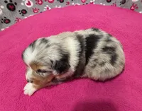 processed/f6f9272f-16e0-4a2d-95c2-b1ba199e966b/listing/135941fb-a873-4897-b0e4-cb44af7740f9/9edeedaa-55f3-4700-af9a-065444eb1165