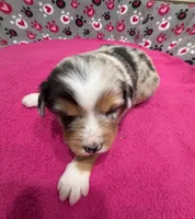 processed/f6f9272f-16e0-4a2d-95c2-b1ba199e966b/listing/135941fb-a873-4897-b0e4-cb44af7740f9/b80b618e-3046-41bc-8f29-666ec6173fba