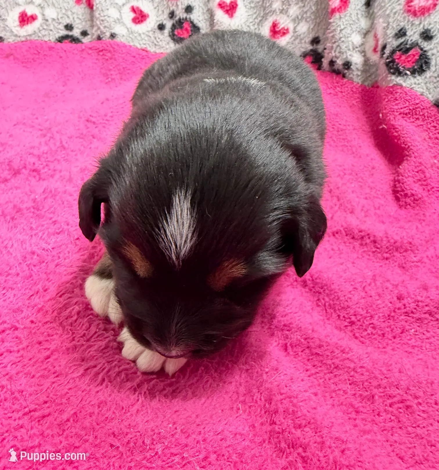 processed/f6f9272f-16e0-4a2d-95c2-b1ba199e966b/listing/3e509f4e-95de-4af9-b6c9-ecc19a839403/38096d98-cb41-40b1-9a6b-53fb5000eac0